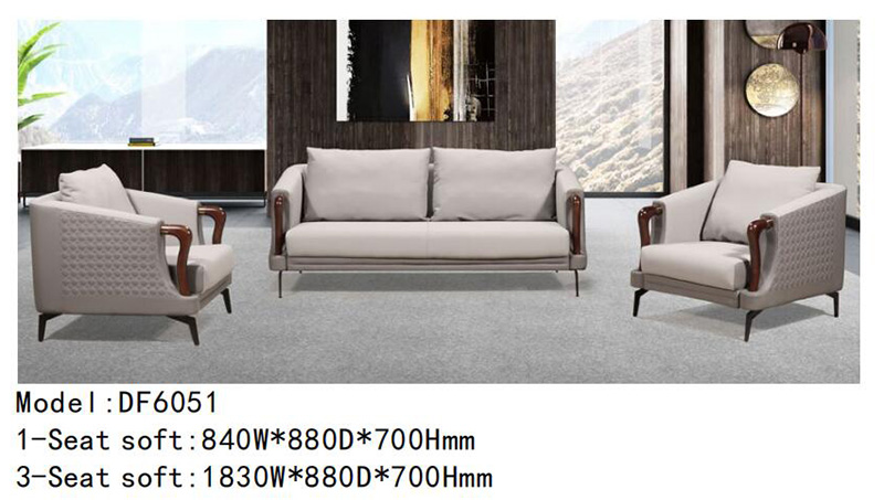 DF6051系列 - 造型独特定制沙发